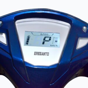 Ereganto Discovery Meter Console