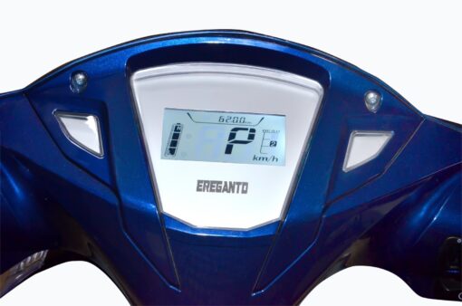 Ereganto Discovery Meter Console